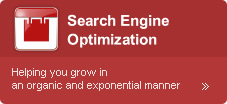 Search Engine Optimization