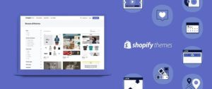 shopify themes